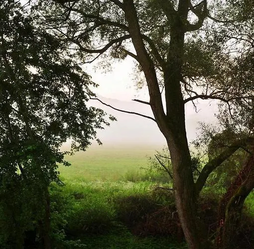 Malom Tanya Panzio *