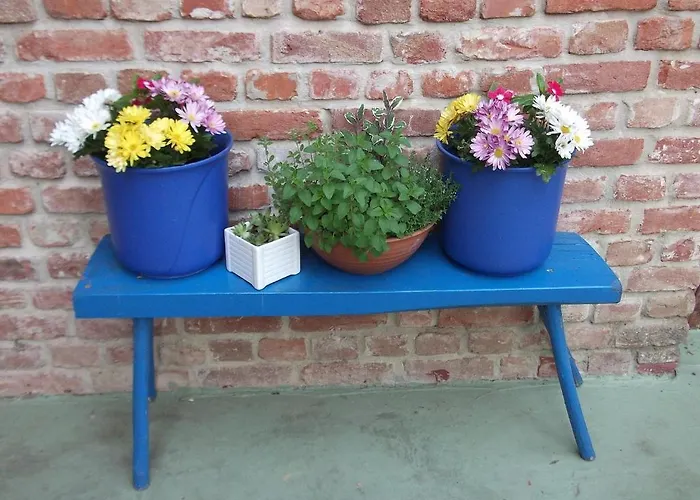 Malom Tanya Panzio Zalacséb