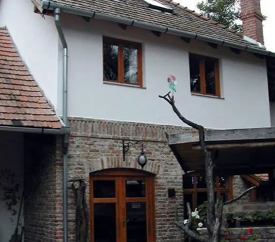 Malom Tanya Panzio *