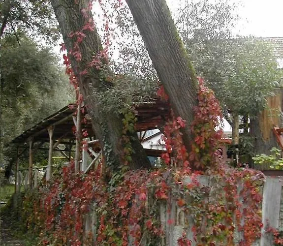 Malom Tanya Panzio Oda ve Kahvaltı *