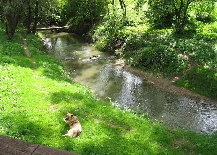 Malom Tanya Panzio * Zalacséb