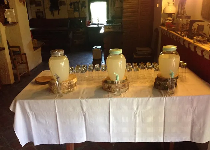 Malom Tanya Panzio *